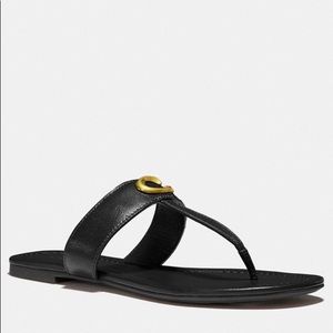 Coach Jessie Sandal - Never Been Worn